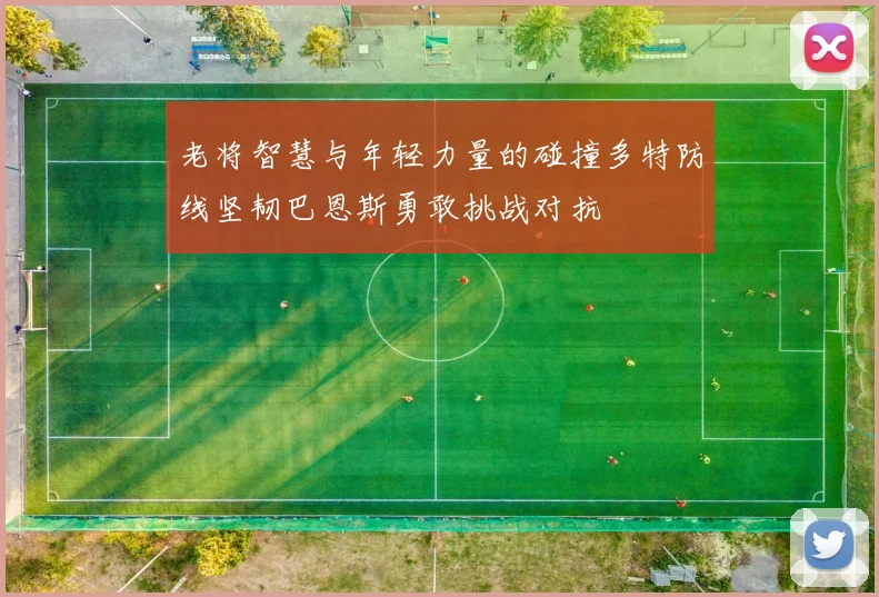 老将智慧与年轻力量的碰撞多特防线坚韧巴恩斯勇敢挑战对抗